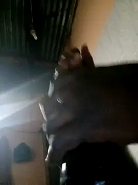 Snapshot of TastyAfrica chatting on February 10, 5:28 pm TastyAfrica online show from February 10, 5:28 pm