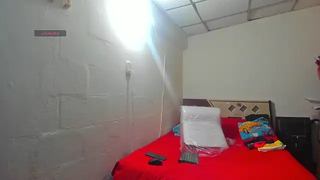 Snapshot of Brianrosex chatting on February 26, 1:53 am Brianrosex online show from February 26, 1:53 am