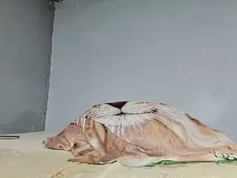 jeffblack2 online show from February 1, 5:16 pm