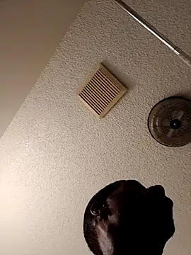 willywonka7793 online show from March 3, 4:56 pm