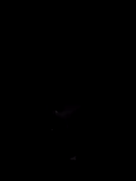 Donstark6669 online show from January 23, 9:50 am