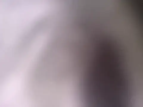 Snapshot of pantomax chatting on September 20, 8:48 am pantomax online show from September 20, 8:48 am