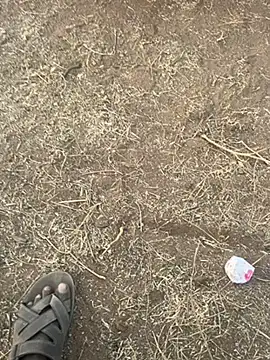 Snapshot of tamil000000 chatting on March 10, 12:48 pm tamil000000 online show from March 10, 12:48 pm