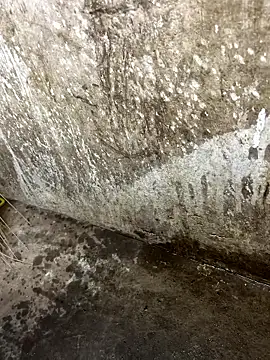 Snapshot of tamil000000 chatting on January 12, 1:05 pm tamil000000 online show from January 12, 1:05 pm