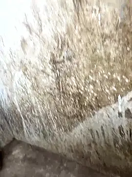 Snapshot of tamil000000 chatting on January 17, 10:31 am tamil000000 online show from January 17, 10:31 am