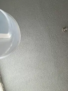 Snapshot of ariiel_ chatting on January 14, 3:28 pm ariiel online show from January 14, 3:28 pm