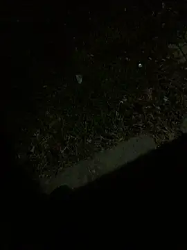 Nicusorescu26 online show from October 14, 3:18 am