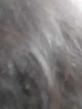 kobita Mohali online show from September 14, 8:13 am