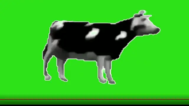 awesome anna online show from February 13, 10:55 am