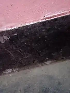 Snapshot of ScopalOr chatting on February 3, 7:40 am ScopalOr online show from February 3, 7:40 am