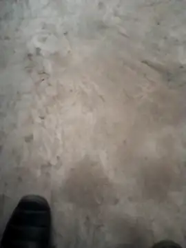 PracticalGum40 online show from December 18, 4:49 pm