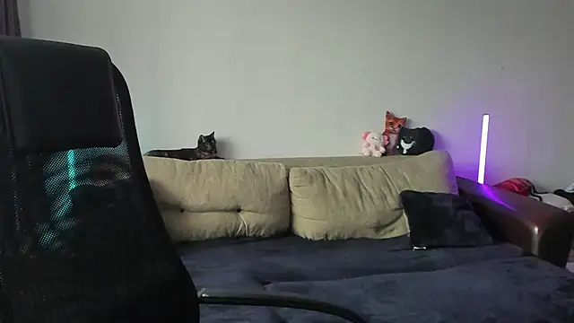 Snapshot of Ostin_meow chatting on July 3, 1:06 pm Ostin meow online show from July 3, 1:06 pm