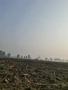 Snapshot of imissyoumylove14 chatting on December 10, 3:09 am imissyoumylove14 online show from December 10, 3:09 am