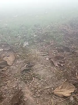 imissyoumylove14 online show from January 17, 1:32 am