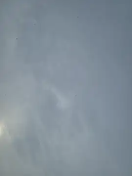 Fuckboy4public online show from March 12, 11:22 pm