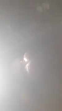 bandi-big-dick online show from January 7, 1:57 pm