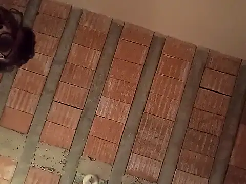 jtf4055 online show from September 13, 9:42 am