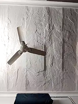 shalini fire online show from January 11, 5:51 pm