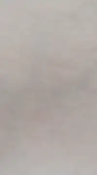 Lorrain Dorrie online show from March 4, 5:11 am