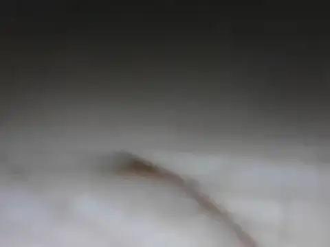 samee00721 online show from January 24, 8:11 pm