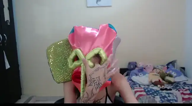 Snapshot of hachi_kitty chatting on February 27, 7:26 pm hachi kitty online show from February 27, 7:26 pm