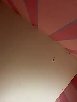 mikeJak online show from March 23, 7:09 am