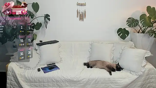 Amie Hill online show from February 16, 7:37 am