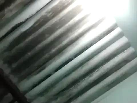 maximo vega newv online show from January 6, 10:58 pm