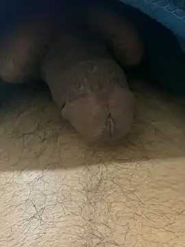 chikagokadi31 online show from April 10, 3:28 pm