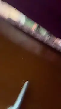 Snapshot of nick__yy chatting on February 19, 5:03 am nick yy online show from February 19, 5:03 am