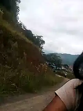 Danna-linyi online show from January 26, 12:54 pm