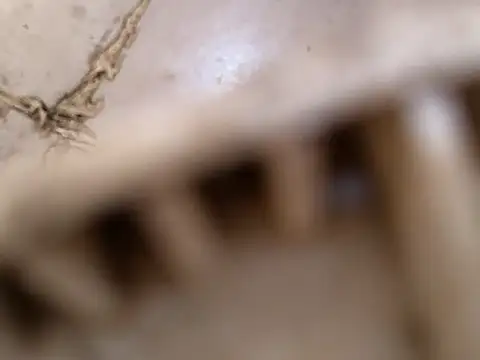 small131 online show from March 17, 6:29 am