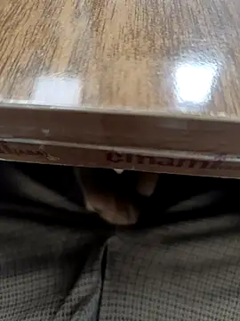 Kakabiraji online show from March 17, 7:12 am