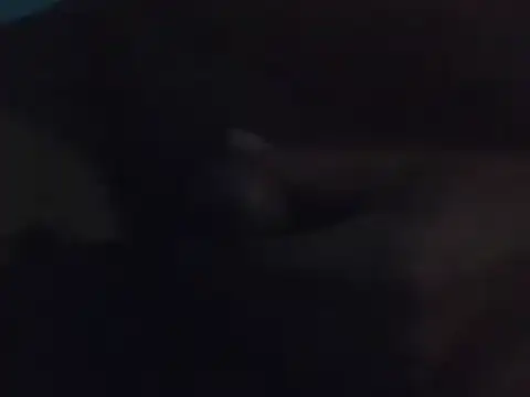 Penis58 online show from December 15, 10:26 pm