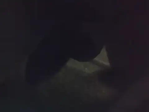 Penis58 online show from December 22, 12:16 pm