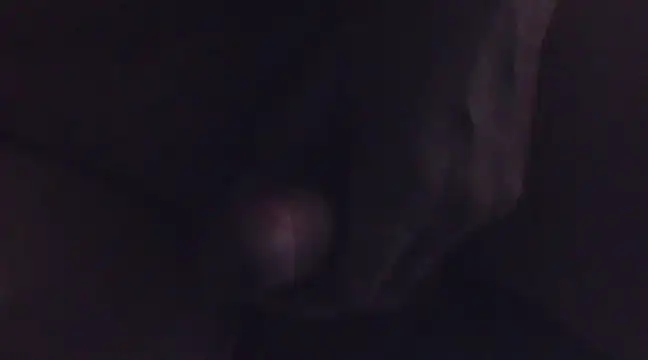 Penis58 online show from February 16, 1:05 pm