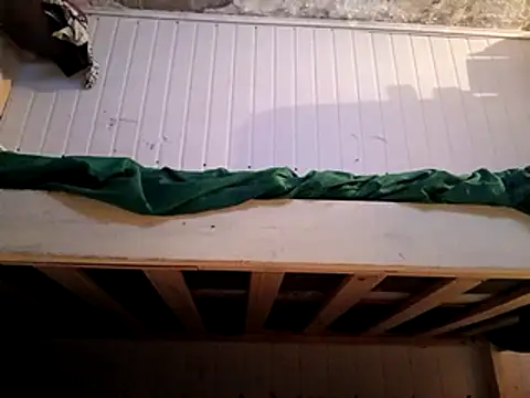 frotasso online show from February 16, 5:48 am