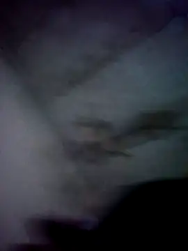 Snapshot of jolesin chatting on December 21, 2:47 pm jolesin online show from December 21, 2:47 pm