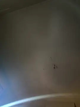 Jiimy2fois online show from March 6, 9:39 am