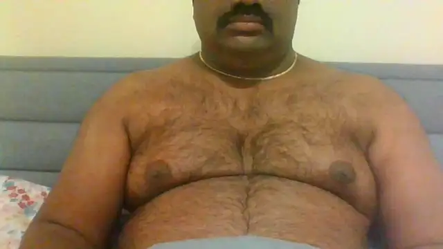 indianbearbot online show from December 28, 8:47 pm