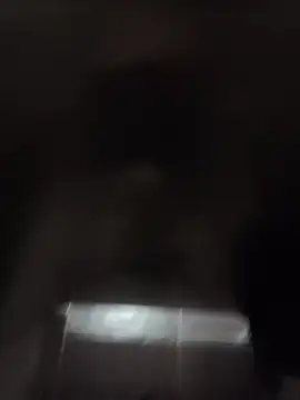 codysmith online show from October 30, 3:02 pm