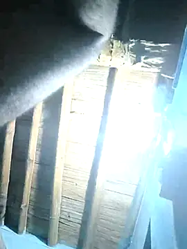 Snapshot of sasuke782 chatting on February 25, 1:39 pm sasuke782 online show from February 25, 1:39 pm