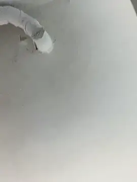 Snapshot of ekskekejejej chatting on September 28, 2:55 pm ekskekejejej online show from September 28, 2:55 pm