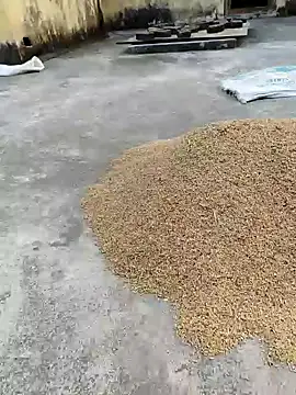 sweet suman online show from January 18, 11:21 am