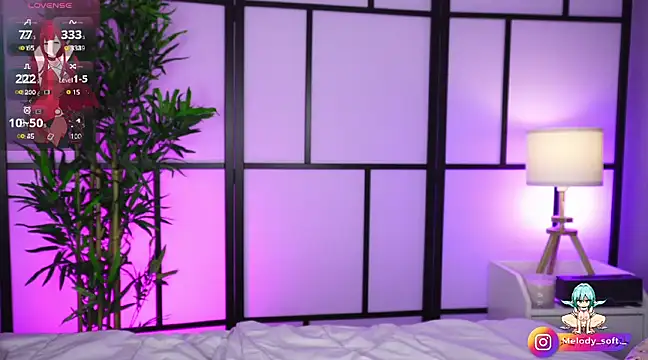 MelodySoft  online show from February 12, 3:29 am