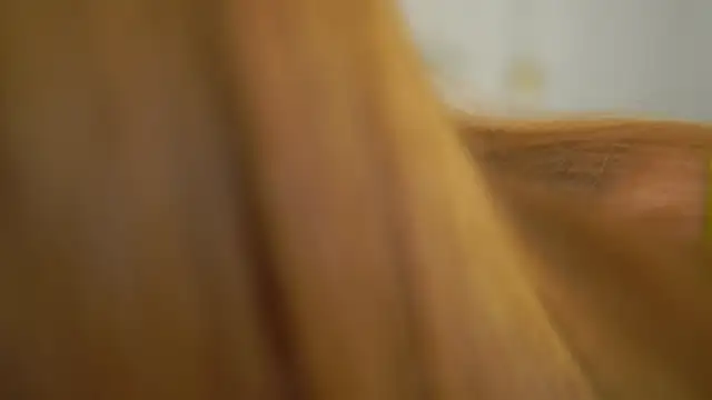 dietmountaindew  online show from April 30, 3:29 pm