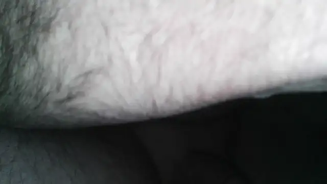 Snapshot of henry_county_couple2 chatting on April 30, 4:41 am henry county couple2 online show from April 30, 4:41 am