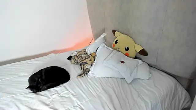 Snapshot of rachaeldeckard__ chatting on January 25, 8:10 am rachaeldeckard online show from January 25, 8:10 am