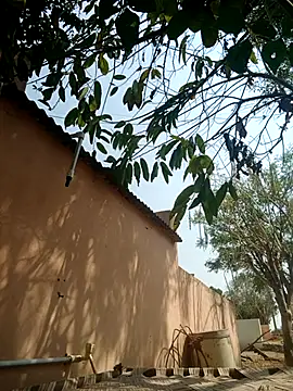 Snapshot of carria_homes chatting on March 14, 9:14 am carria homes online show from March 14, 9:14 am