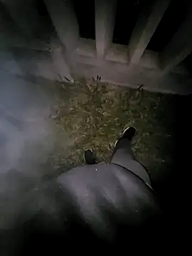 tesaodaweb online show from April 20, 9:23 am